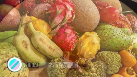 Loquat - Fruits You've Never Heard Of