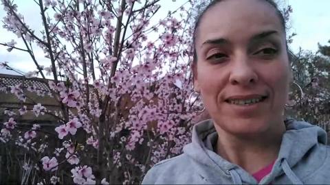 2 Days Out - Gardening & Self Sufficiency Workshop: Kitch...