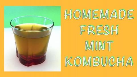 Homemade Fresh Mint Kombucha / Healthy, Sparkling & Refre...