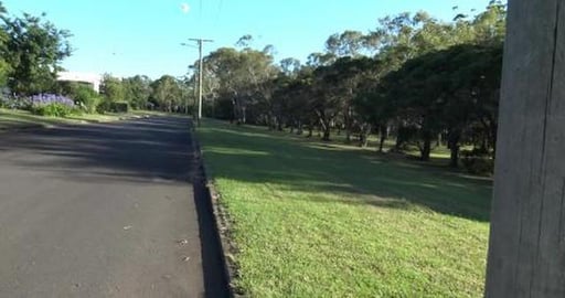 Cockatoo's don't want to be Down Under & Abandoned house