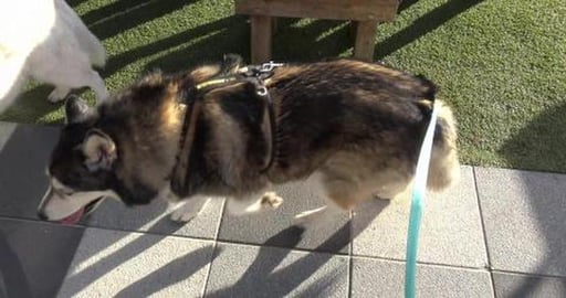 There are fewer shops, more cafe & restaurants in town