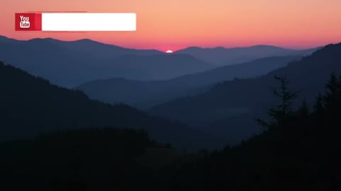 Man Rescues Wolf and Her Puppies, 4 Years Later...