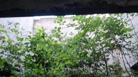 This place looks like a call of duty map... ABANDONED WAR...