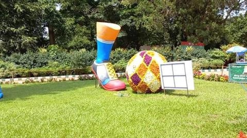 Lalbagh Flower Show - Football | Botanical Garden - Benga...
