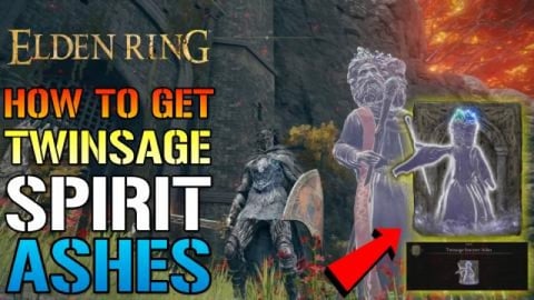Elden Ring: Twinsage Sorcerer ASHES! How To Get This EARL...