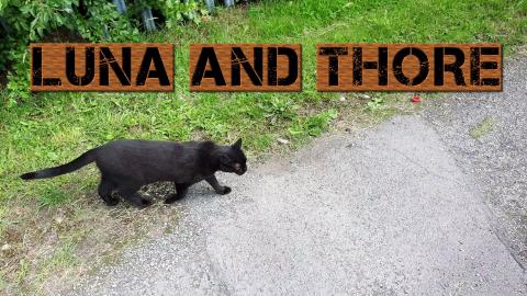 Picking Thore From The Golf Course