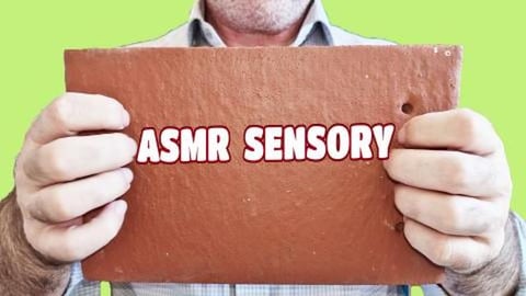 ASMR Bring Back YOUR Tingles NOW