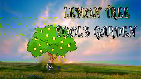 LEMON TREE- Fool's Garden | (COVER) 