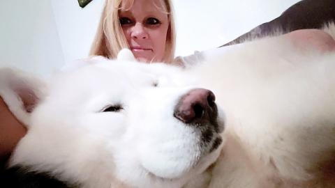 Proof That Husky Dogs Love To Cuddle