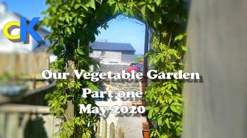 How we Grow Our Own vegetables | Part 1