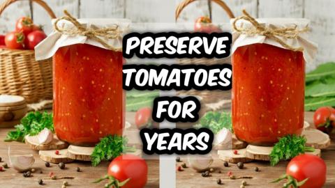 How I Preserve Fresh Tomatoes For The Winter Season.