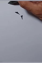 Drawing Tatto Tribal 44 shorts