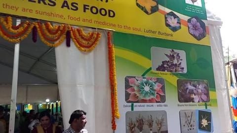 Lalbagh Flower Show | Fruits & Vegetables Exhibition | Be...