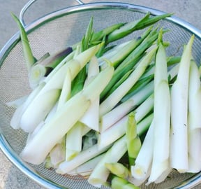 You Can Eat Hosta Shoots: Kitchen Gardening With Kimberly...