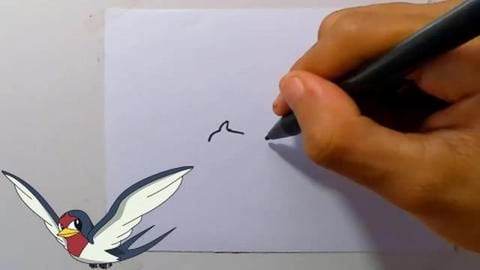 Drawing POkemon TAILLOW shorts