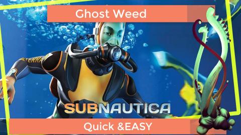 Subnautica How to find Ghost Weed Seed Quick and Easy