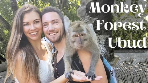 Monkey Forest Ubud Bali Indonesia 