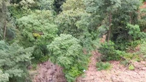 Train Traveling Through Dense Forest | Karnataka