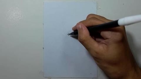 Drawing Crocodile Pirate Graffiti