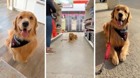 It's Never Too Late for Training