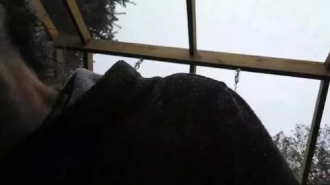 Heat For The Chicken Coop: Homesteading With Kimberly