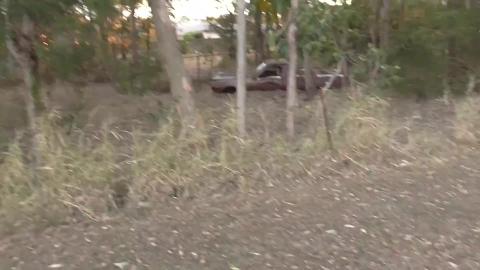 Abandoned car, Husky wants Ducks