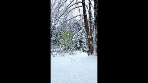 The First Snowfall of the Season, and it's soooo Beautifu...