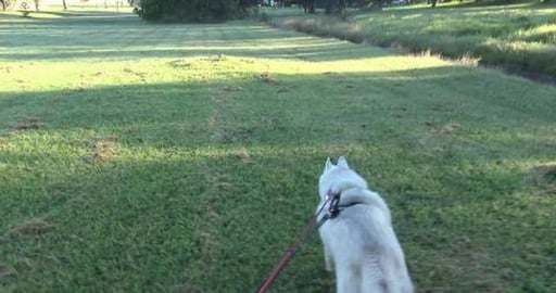 All those poor people going to work