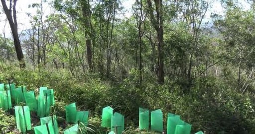 Another closed park, how disappointing