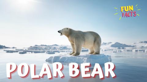 Mighty Polar Bear | Fun Facts