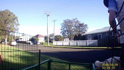 Husky has lots too talk about