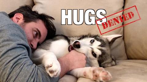 Hugging My Puppy For Too Long GONE Hilariously WRONG: He ...