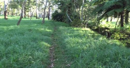 It's a beautiful day for a walk with family