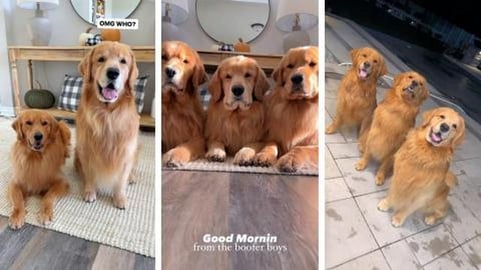 Party Time with Uncle Gator!