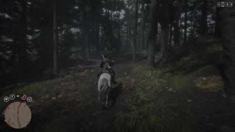 Red Dead Online Gameplay 1)