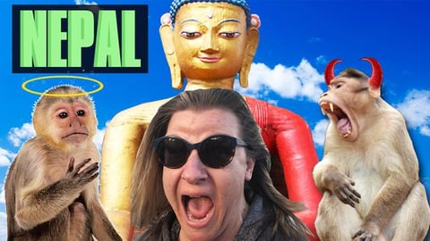 Holy (terror??) Monkeys!! Swayambhunath Kathmandu Nepal |...