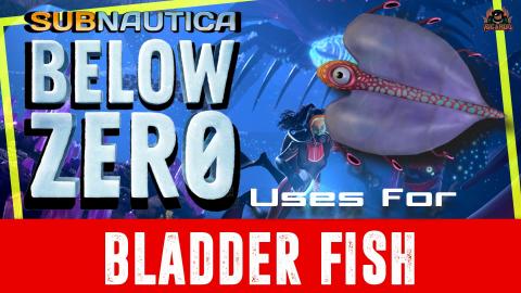 Subnautica Below Zero Uses for the Bladderfish Good Sourc...