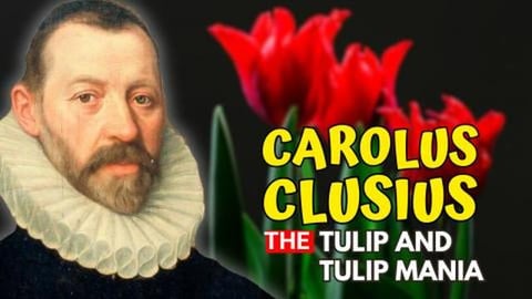 CAROLUS CLUSIUS - The Man Behind Tulip Mania (the first r...