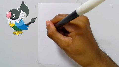 Drawing pokemon chatot