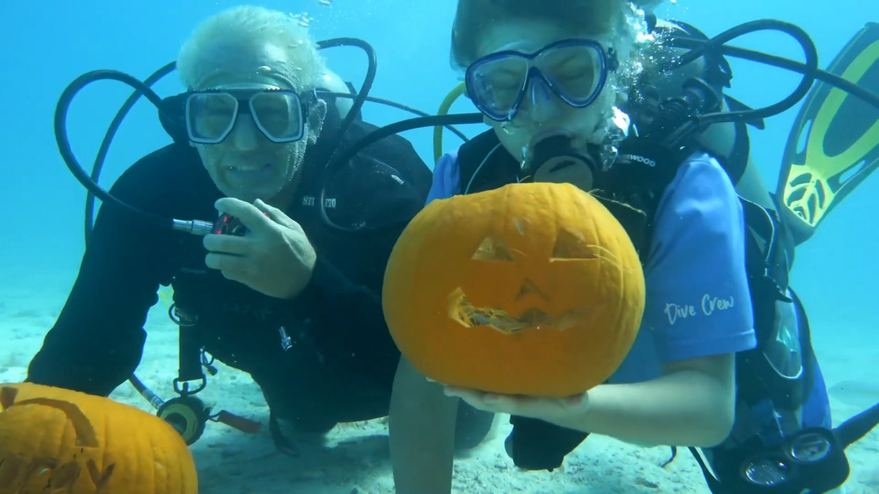 Watch As Divers Carve Pumpkins Underwater In Florida | Miami Herald