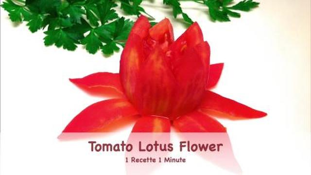 Tomato Lotus Flower (shorts)