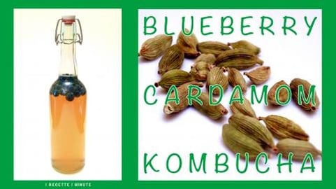 Homemade Blueberry Cardamom Kombucha / Healthy, Sparkling...