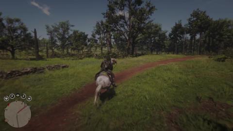 Red Dead Online Gameplay 444