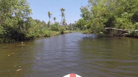 Man Walking In The River | Poovar | Kerala