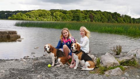 Silly Games That our Beagles Love to Play with Kids