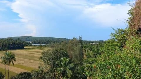 View From Mirjan Fort | Karnataka