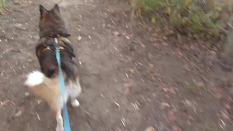 Community hall that never was & is that car abandoned