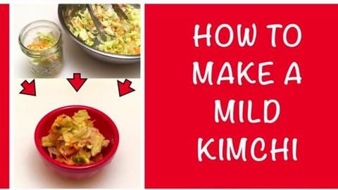Homemade Kimchi (shorts)