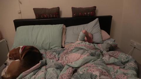 How My Cute Dogs Wake Up Sleeping Child