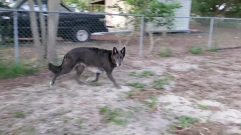 What is Woo Running From